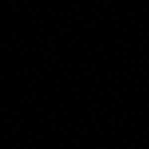 Meet your Posher, Maizy